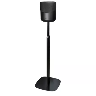 Bluesound FS231 in Geneva | Digistore.ch